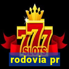 rodovia pr-317 km 155 onde fica